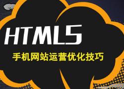 html5手机网站运营优化技巧